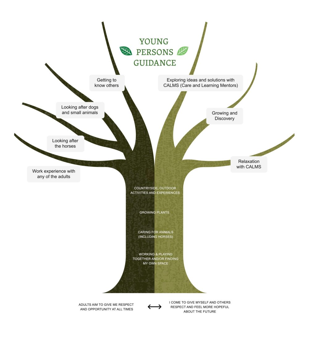 Young Persons Guidance